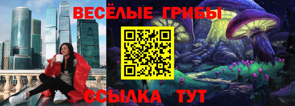 Псилоцибиновые грибы MAGIC MUSHROOMS  Псилоцибиновые грибы ЛСД  Вход с VPN  Кропоткин 